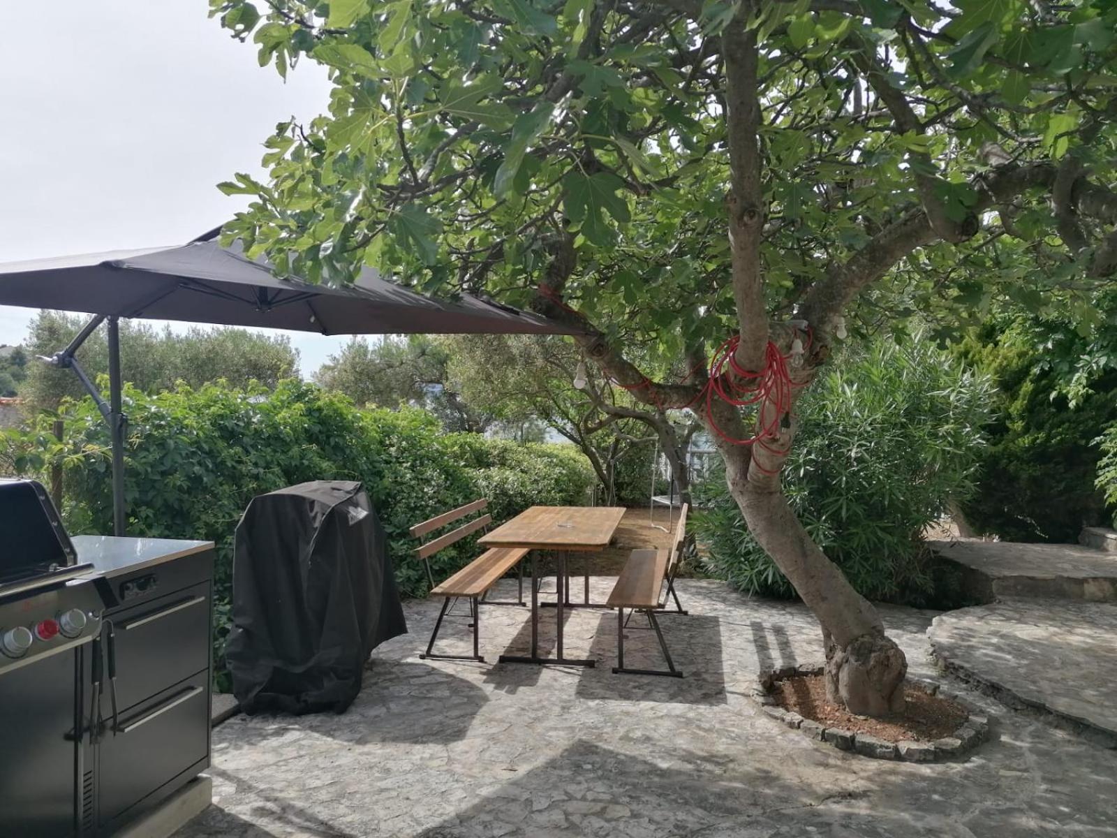 Apartments Villa Julia تروغير المظهر الخارجي الصورة